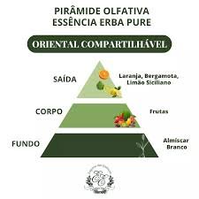 Pirâmide Olfativa (Perfume Inspirado)